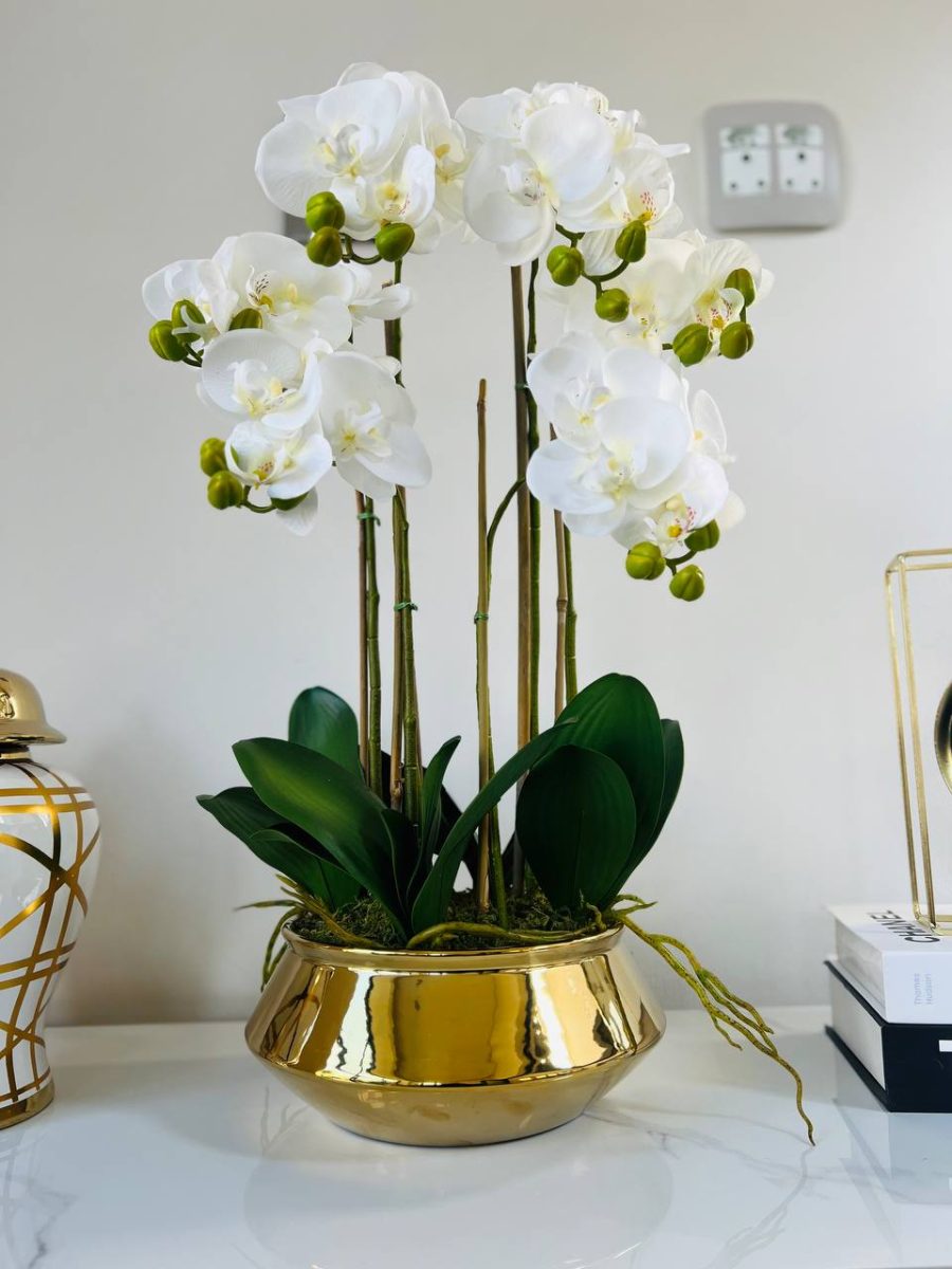 Artificial Plants