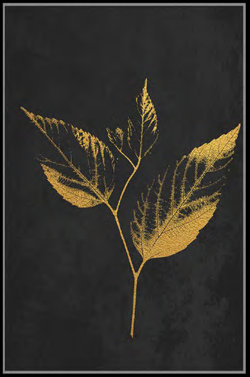 ART-36_960x.png